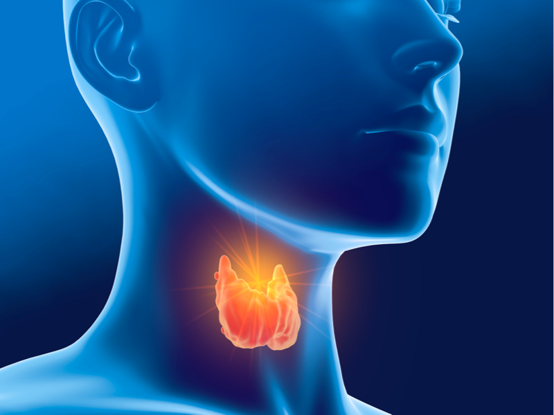 Symptoms and Causes Of Thyroid